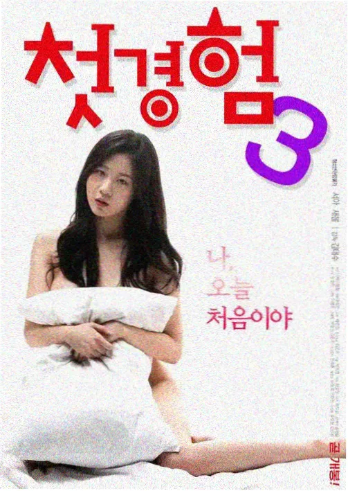 韩国最新电视剧《首尔夜航日志》海报